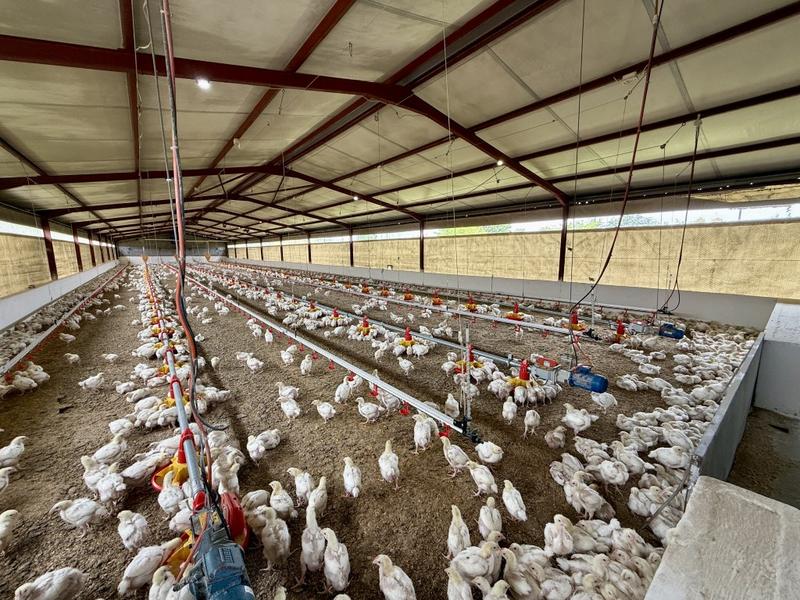 0 Bedroom Property for Sale in Harrismith Free State